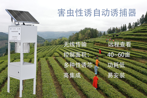 害蟲性誘智能測報系統(tǒng)圖片1